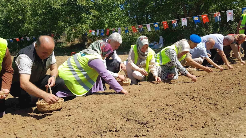 Dünyanın en pahalı baharatı safranın üretimine ORKÖY’den destek
