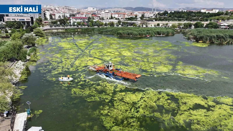 Mogan Gölü’nde başlatılan kapsamlı temizlik çalışmaları büyük oranda tamamlandı
