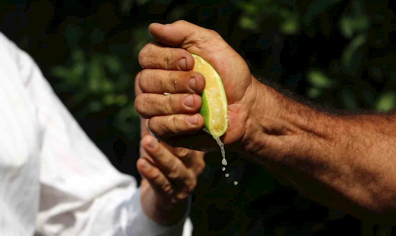 İstanbul’da geçen ay en çok pahalanan ürün limon oldu

