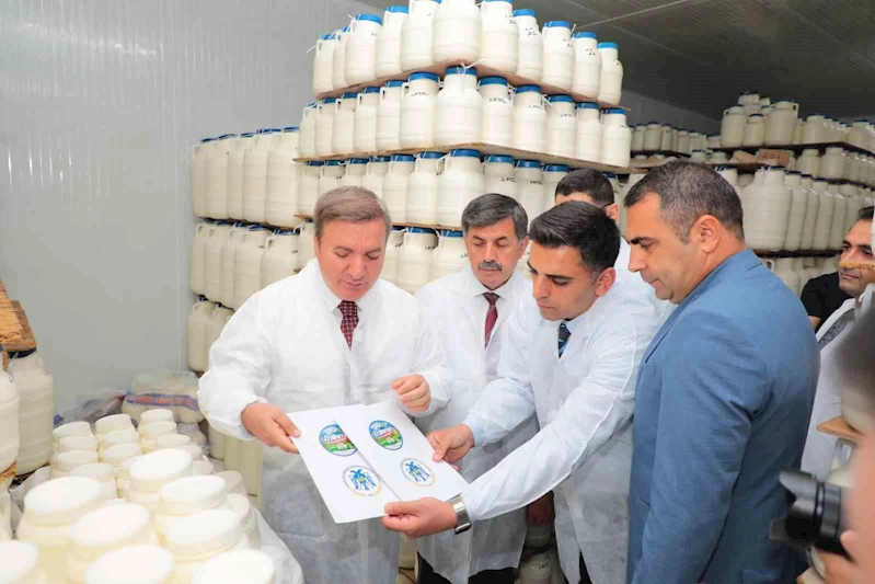 Erzincan’da tescilli tulum peyniri satışı artacak
