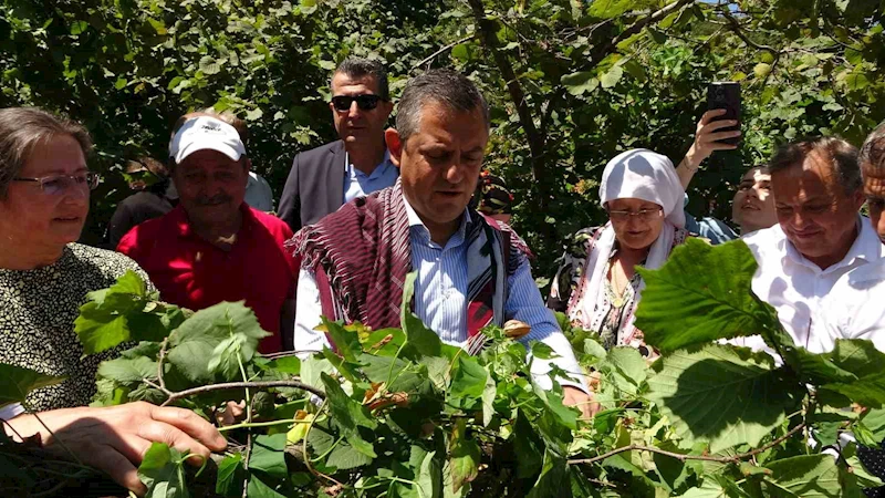 CHP Lideri Özel’den ’fındık fiyatı’ eleştirisi: “Hızla revize edilmeli