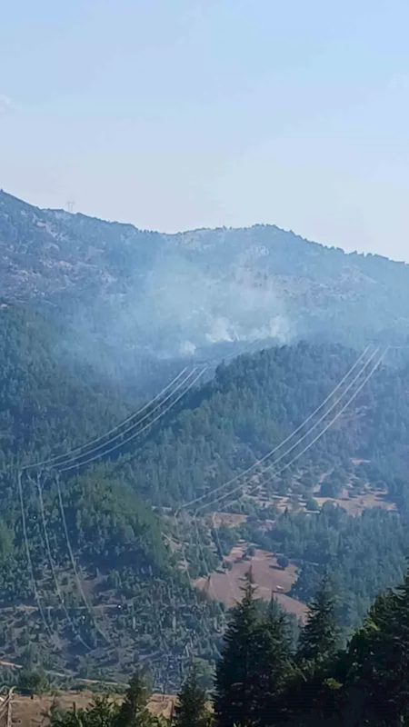 Adana’da orman yangınına müdahale eden helikopter düştü
