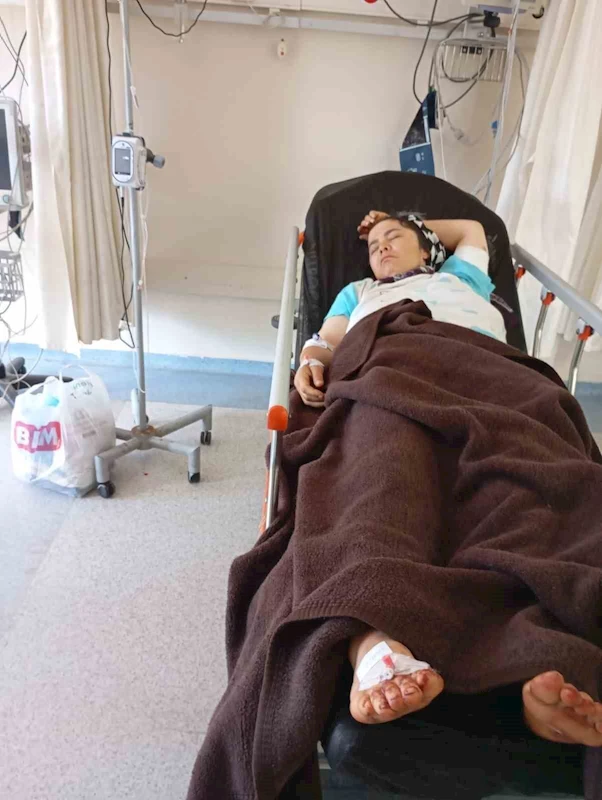 Güvende Yaylası’nda yorgun merminin isabet ettiği kadın yaralandı
