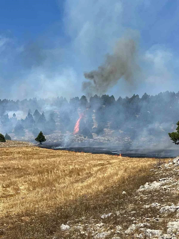 Anız yangını ormana sıçradı, ekipler müdahale ediyor
