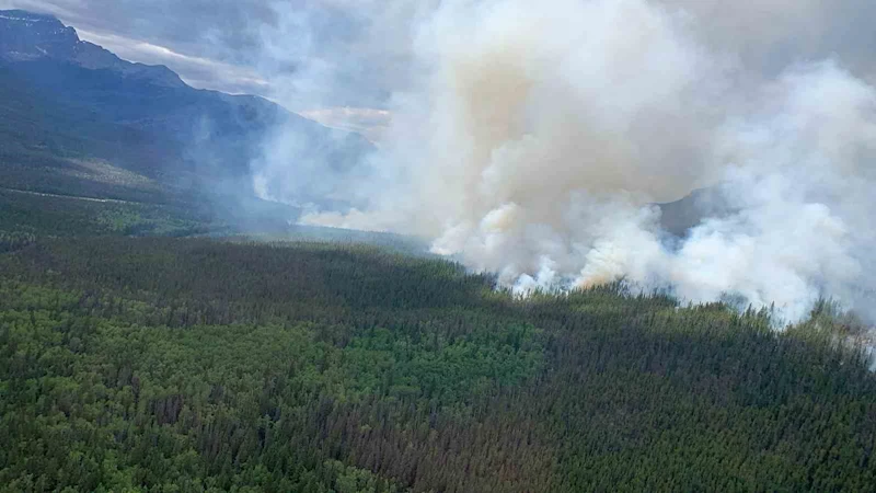 Kanada’nın Alberta eyaletindeki orman yangınında 1 kişi öldü
