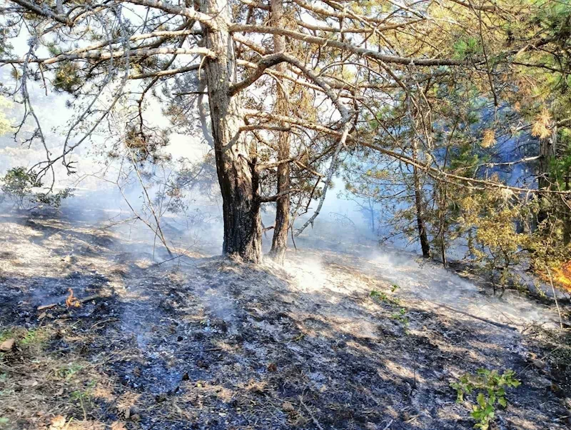Kastamonu’da çıkan orman yangını büyümeden söndürüldü
