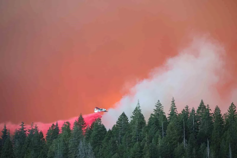 California tarihinin en büyük 4. orman yangını: 400 bin dönümden fazla alan kül oldu
