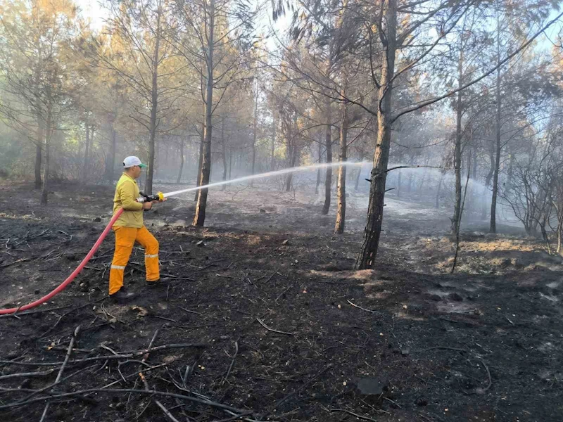 Hatay’da çıkan orman yangını 15. saatte kontrol altına alındı
