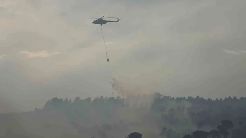 Yalova’daki orman yangını kontrol altına alındı
