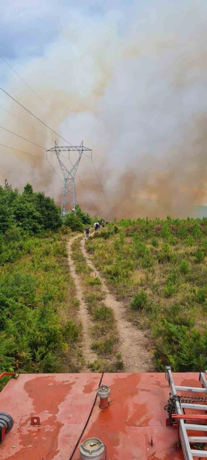 Yalova’daki orman yangınına havadan ve karadan müdahale sürüyor
