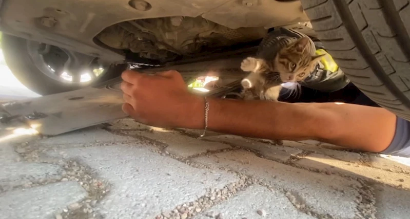 Otomobilin motoruna giren yavru kedi kurtarıldı
