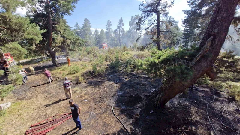 Kastamonu’da ormanlık alanda çıkan yangın büyümeden söndürüldü
