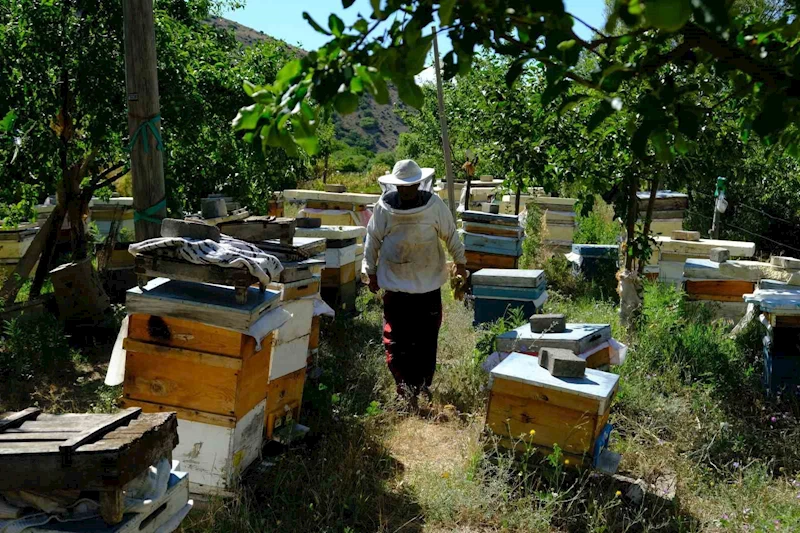 Arıcılar hasat için gün sayıyor
