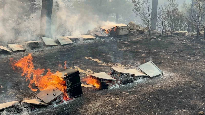 Muğla Büyükşehir’den yangından etkilenen arıcılara destek
