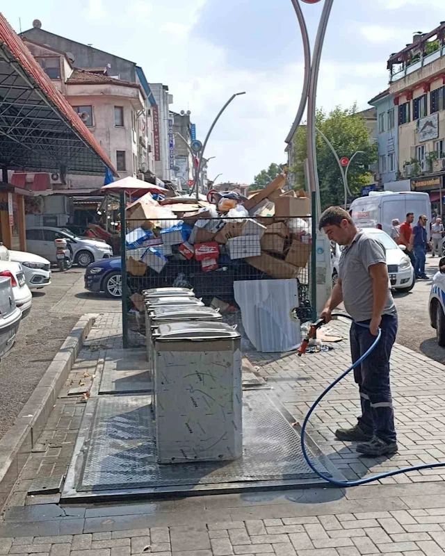 Bartın’da haşere ile mücadele sürüyor
