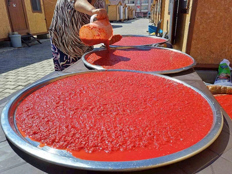 Depremzede kadınların kurutmalık ve salça telaşı başladı
