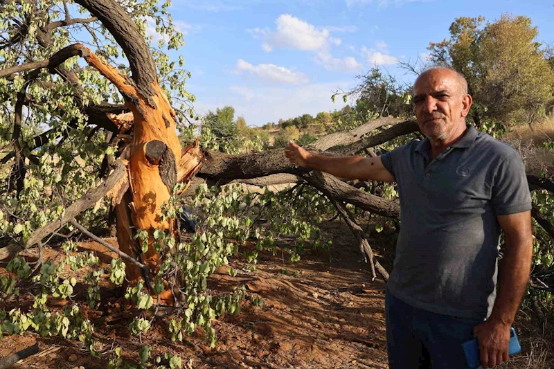 Köylüler yağmurlu havada dışarı çıkmaya korkuyor: Aynı bölgeye 3 defa yıldırım düştü
