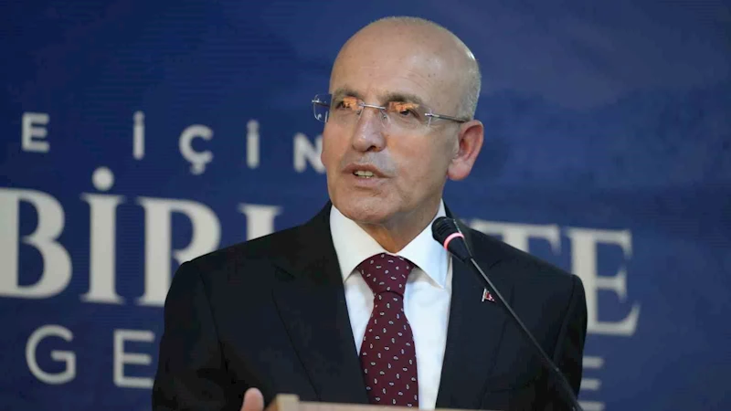 Bakan Şimşek: 