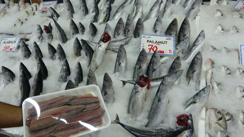 Balık sezonunda palamut yoğunluğu