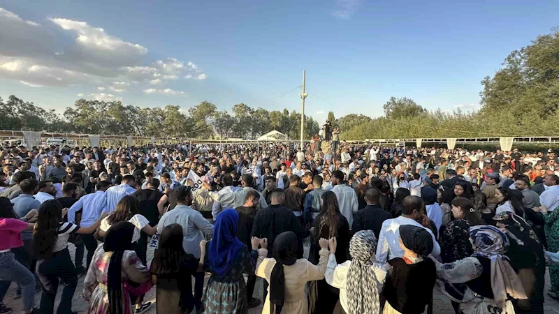 Aşiret festivaline 20 bin kişi katıldı, 300 koyun kesildi
