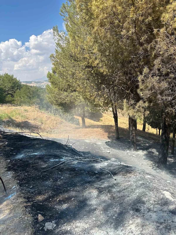 Ağaçlık alanda çıkan yangın konteyner kentte sıçramadan söndürüldü
