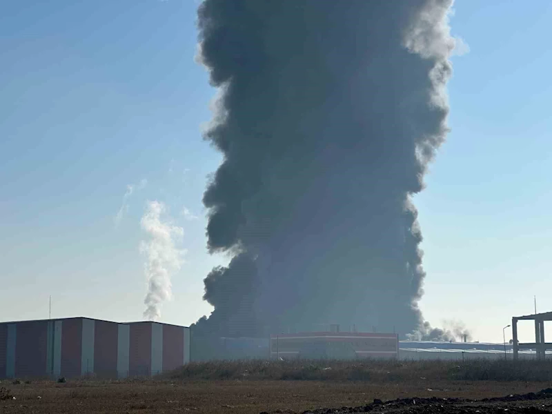 Kırklareli’nde oyuncak fabrikasındaki yangına müdahale sürüyor
