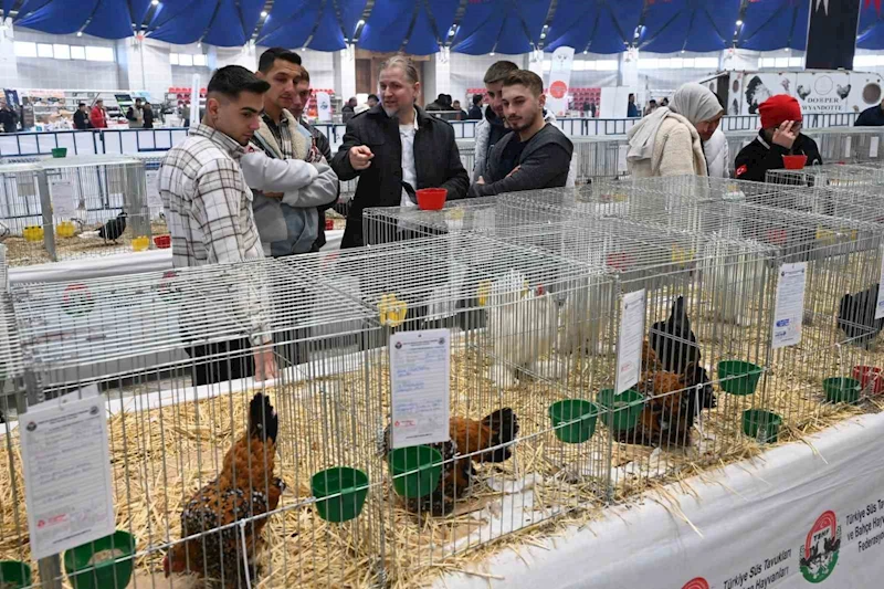 Farklı ırklardan bin 750 kanatlı hayvan ve süs tavuğu Isparta’da
