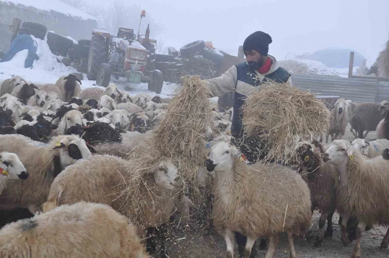 Kars’ta küçükbaş hayvancılık yapanlar çoban bulmakta zorluk çekiyor
