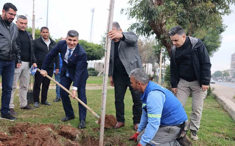 Başkan Vekili Şener, belediye çalışmalarını yerinde inceledi
