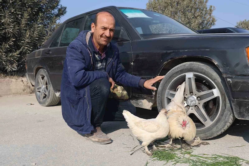 Tekere bağladığı horozuyla, tavuğunu arabasıyla birlikte satışa çıkardı
