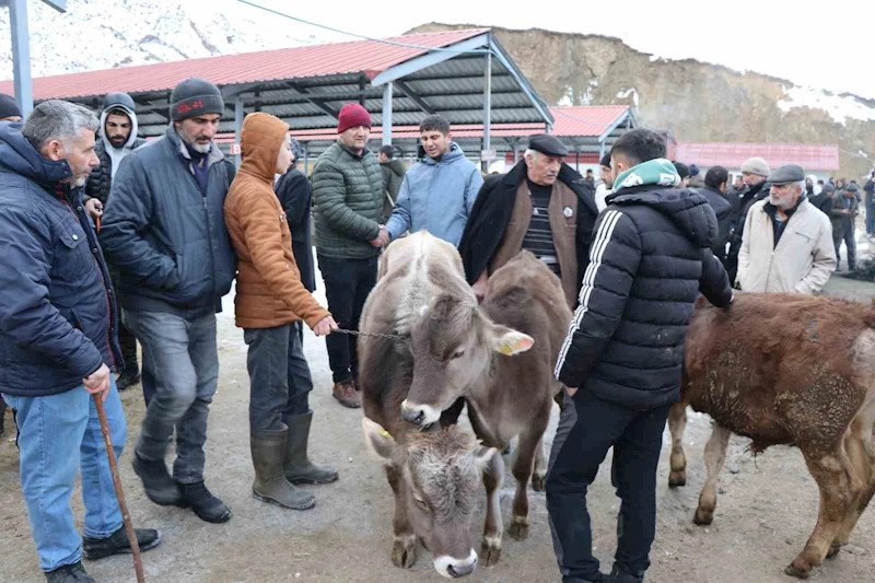 Oltu’daki hayvan pazarı yeniden açıldı
