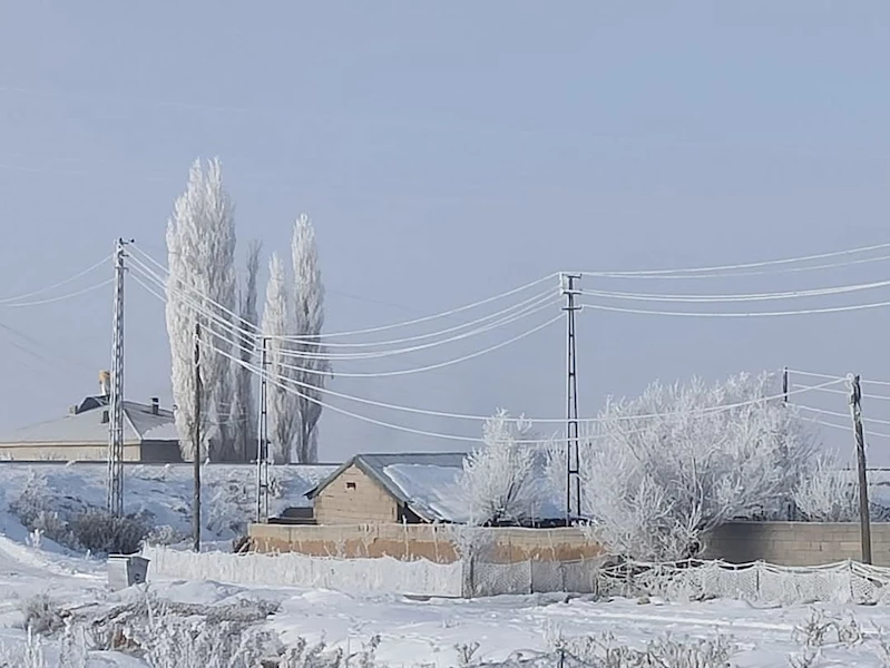 Özalp ve Saray buz kesti, ağaçlar kırağı tuttu
