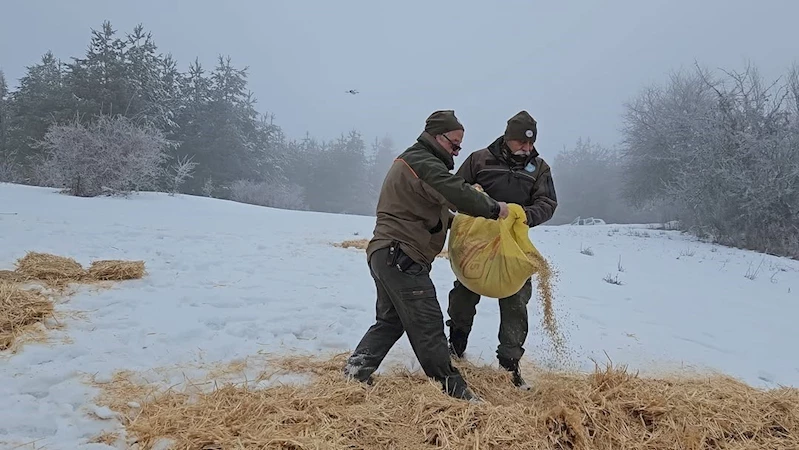 Kastamonu’da yaban hayvanları için doğaya yem bırakıldı
