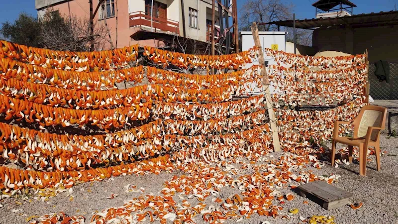 Bu meyvelerin kabuğu bile para ediyor
