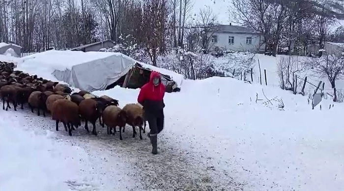 Besicilerin kar altında zorlu mesaisi
