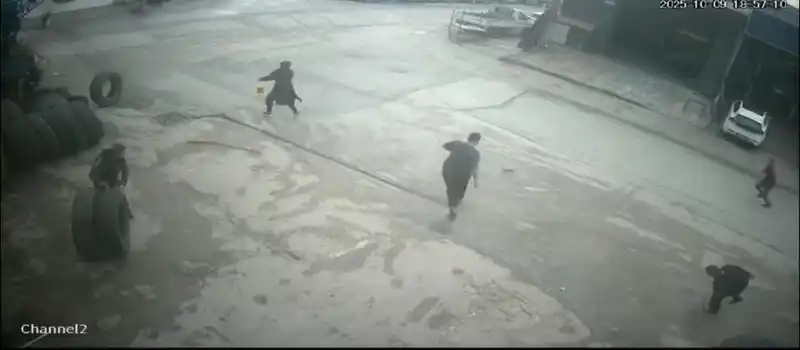 Fareyi süpürgeyle kovaladı, arkadaşı şut atar gibi tekme attı
