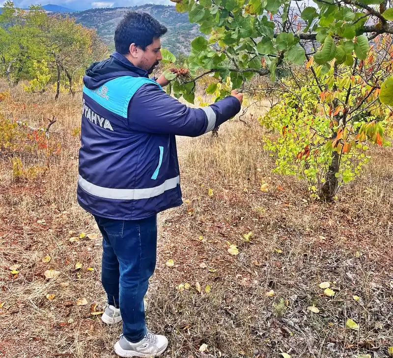 Emet’te uydu takibi yapılan arazilerde fiziki kontroller yapıldı
