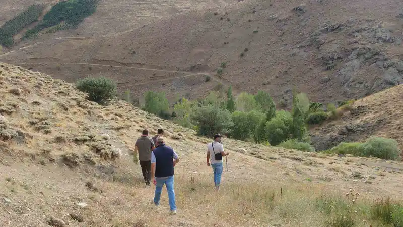 Bayburt’ta annesini kaybeden yavru ayı köyü alarma geçirdi
