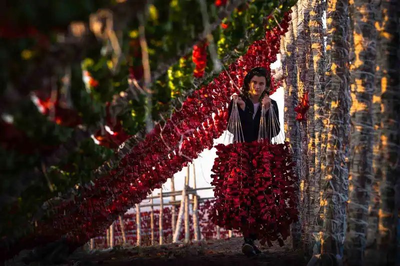 Gaziantep sebze kurutmalıkları küresel lezzet haline geldi
