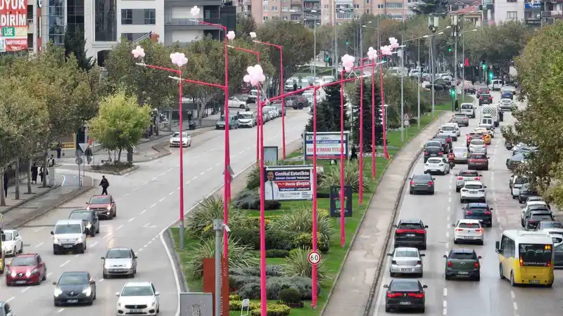 Erken teşhis için sokak lambaları pembe yanıyor
