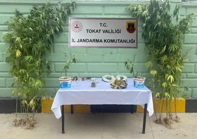 Tokat’ta jandarma ekipleri tarafından 2 ayda 56 kişi hakkında uyuşturucuya bağlı suçlarından işlem yapıldı

