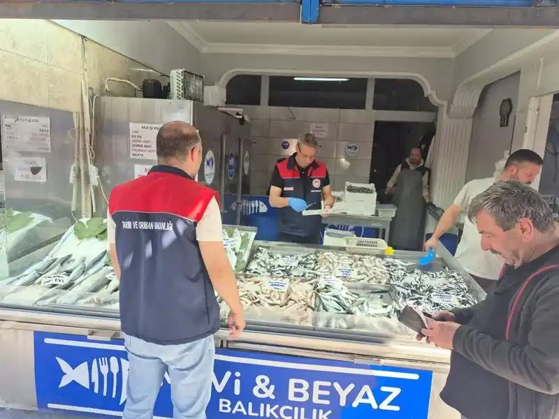 Düzce’de su ürünleri denetimi: Yasal boy altındaki 11 kasa balığa el konuldu
