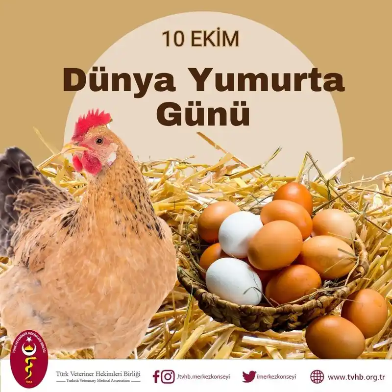 Türk Veteriner Hekimleri Birliği Başkanı Eroğlu: 