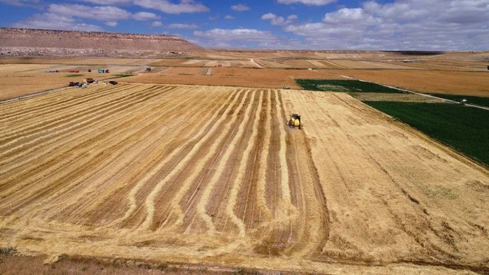 Başkan Çolakbayrakdar: 