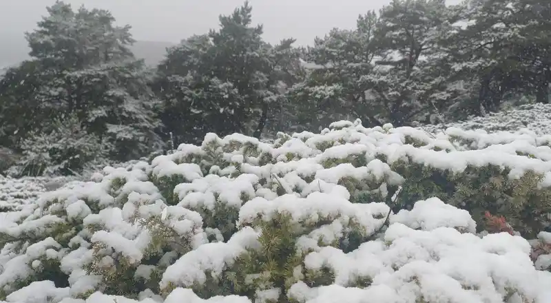 Tokat yükseklerinde kar, kent merkezinde yağmur etkili oldu
