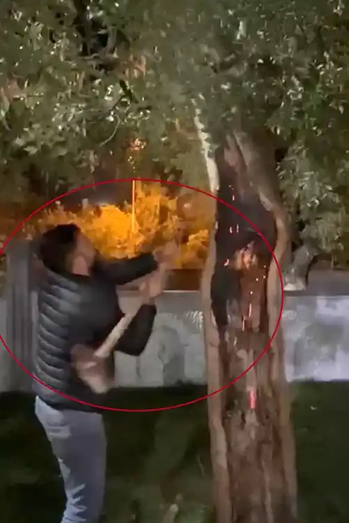 Yanan ağacı önce kesmeye çalıştı, sonra su kovası ve ibrikle söndürdü
