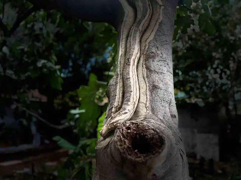 Unutulan sanatı emekliler hayata döndürüyor
