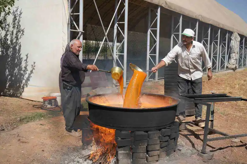 Gaziantep’te dev kazanlar pekmez yapımı için kaynıyor
