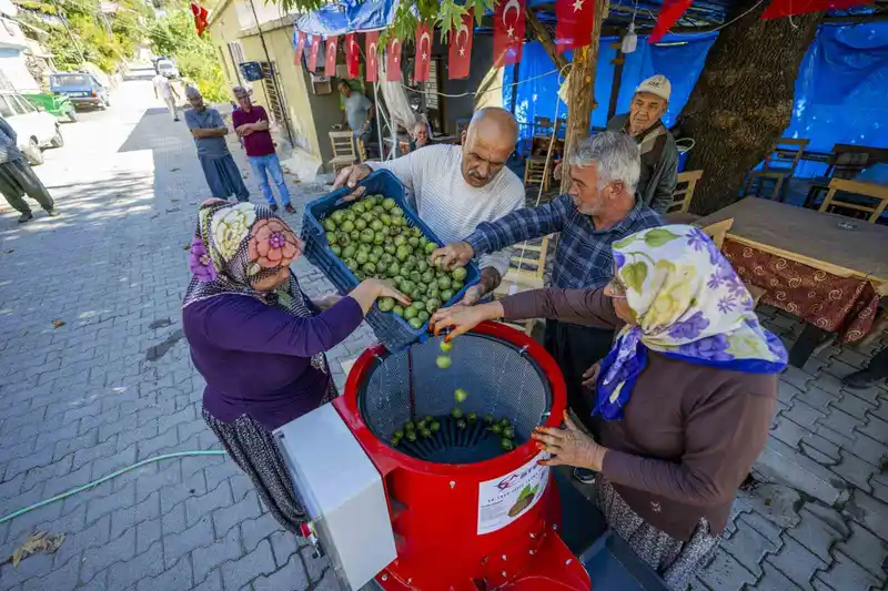 Mersin’de üreticiye ceviz soyma makinesi desteği
