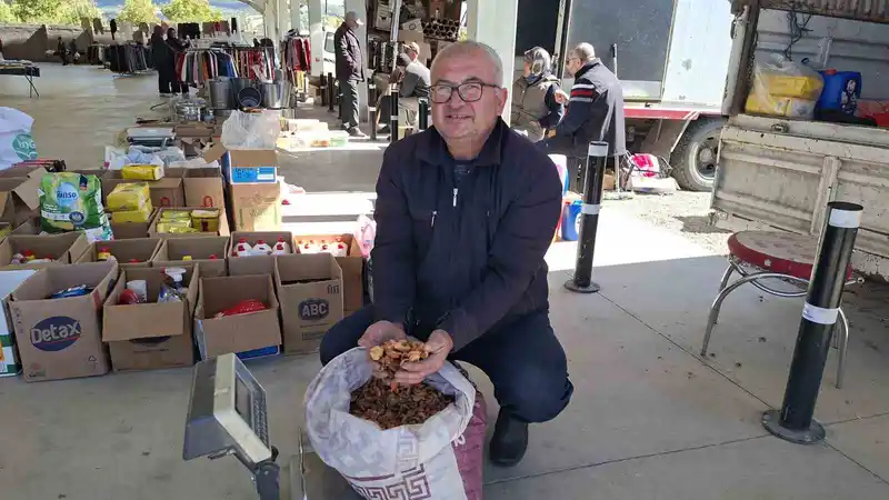 Elma kurusu, üreticisini sevindirdi
